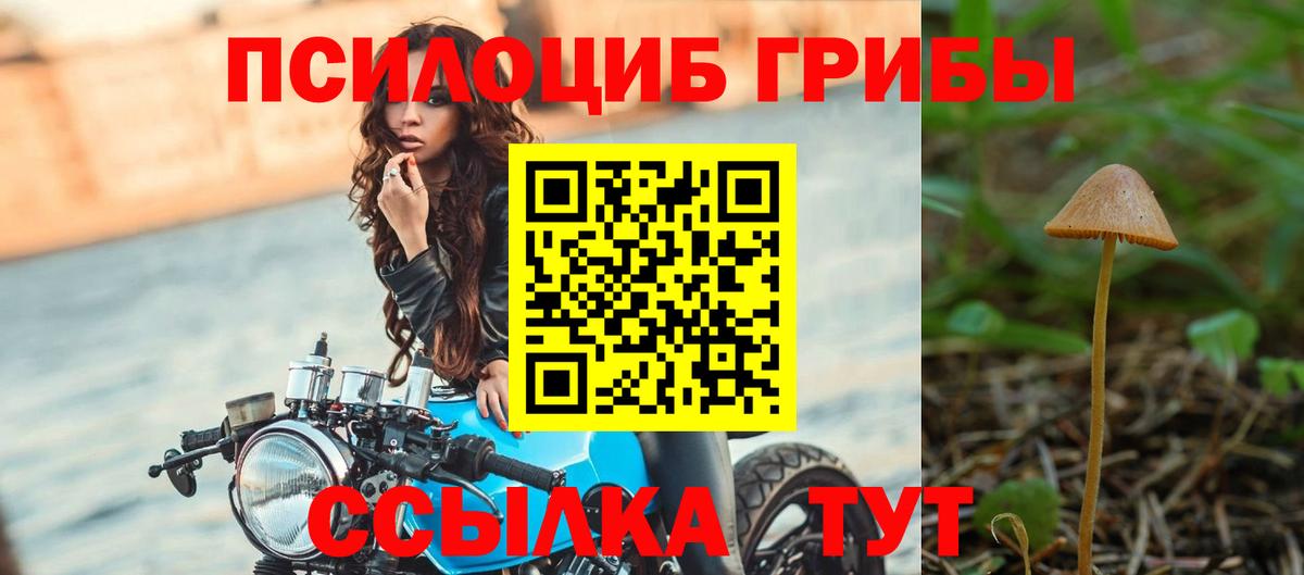 Псилоцибиновые грибы GOLDEN TEACHER  Псилоцибиновые грибы GOLDEN TEACHER  цена наркотик  Моздок  Вход с VPN 