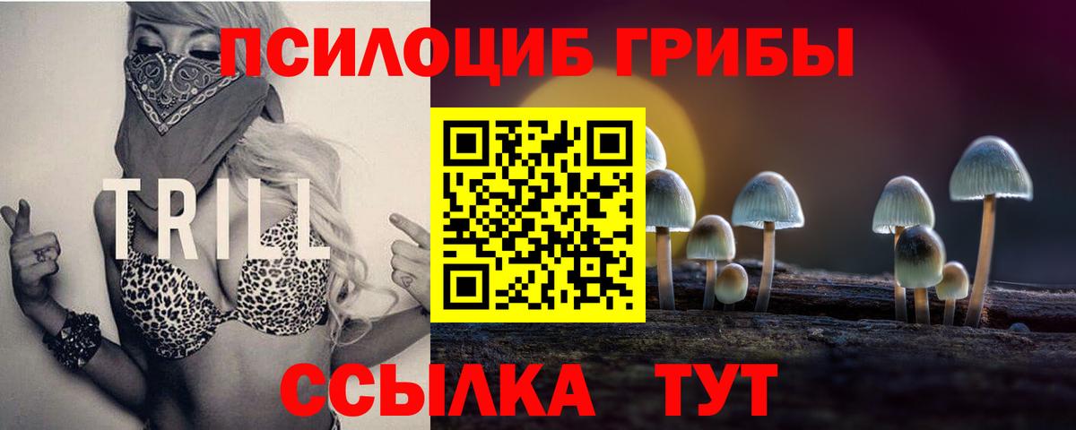Псилоцибиновые грибы Cubensis Моздок